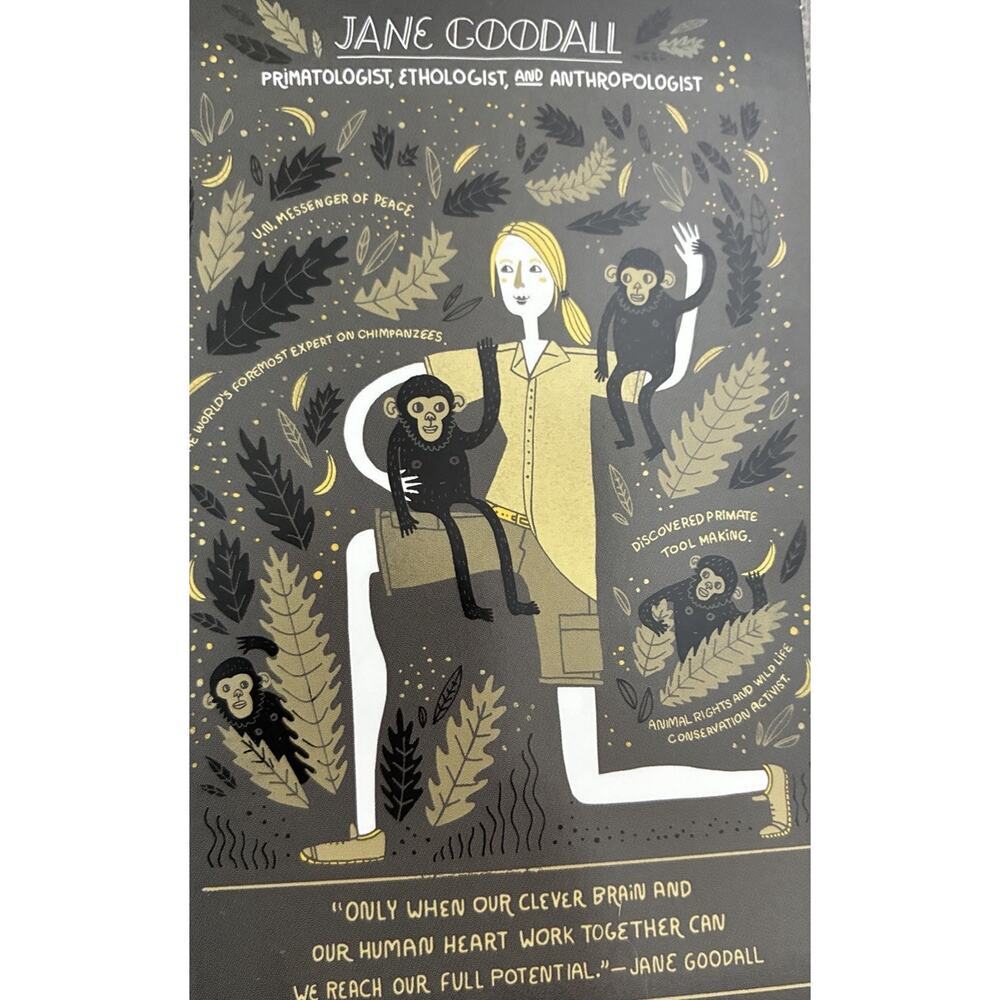 Lot of 35 Women in Science Postcards - Rachel Ignotofsky STEM Art Set - Picture 3 of 5
